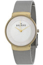 Buy Skagen Klassik Ladies Watch- SKW2076 in Pakistan
