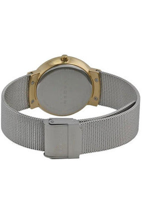 Buy Skagen Klassik Ladies Watch- SKW2076 in Pakistan