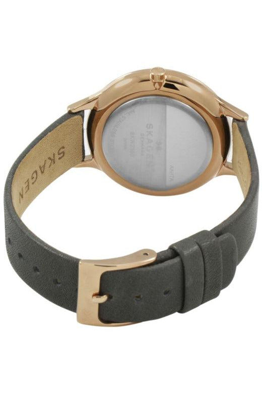 Buy Skagen Ladies Watch- SKW2390 in Pakistan