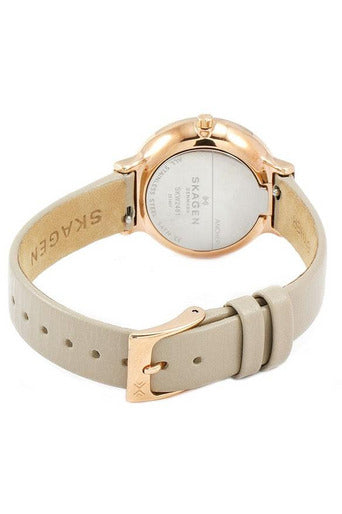 Buy Skagen Ladies Watch- SKW2481 in Pakistan