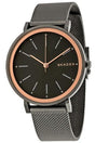 Buy Skagen Ladies Watch- SKW2507 in Pakistan