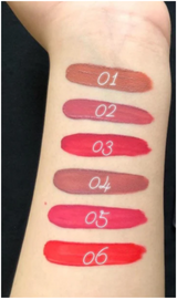 Buy Miss Rose Matte Liquid lipgloss in Pakistan