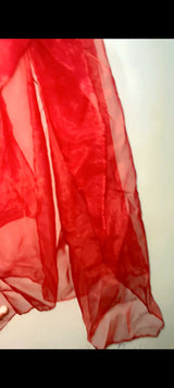 Preet Pret | Maroon Farshi Shalwar | Women Branded Formals | Large | Worn Once