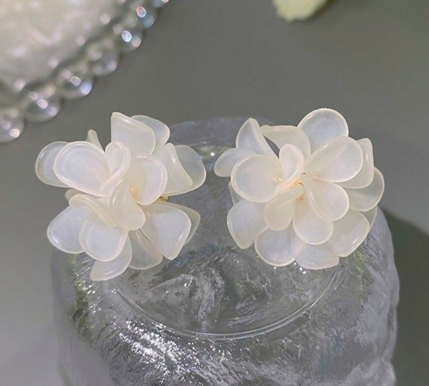 Pack of 7 pairs of earrings & flower stud (752-909) | Women Jewelry | Earrings | New