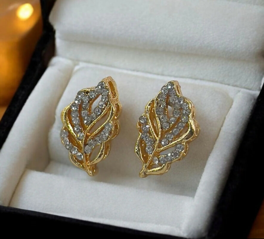 Pack of 2 pairs of earrings (050-236) | Women Jewelry | Earrings | Brand New