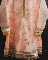 3 PC Party wear Suit | Kids | Girls Shalwar Kameez | X Small | Worn Once