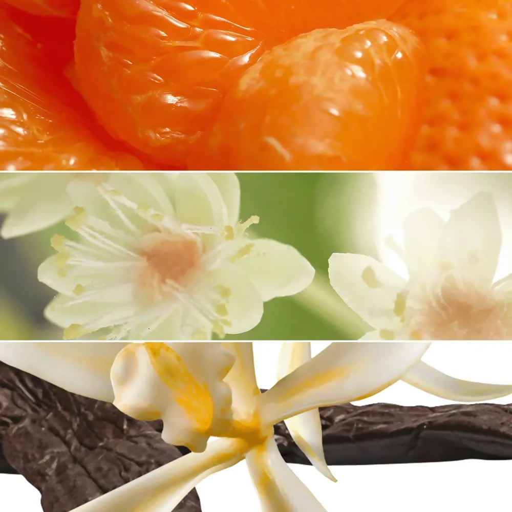 productImage - 2025-04-16T212728.484