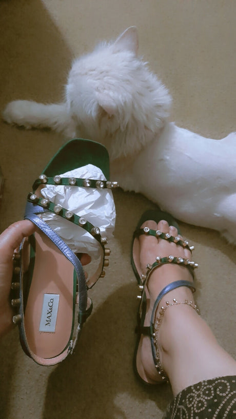 inbound4837461441125386835