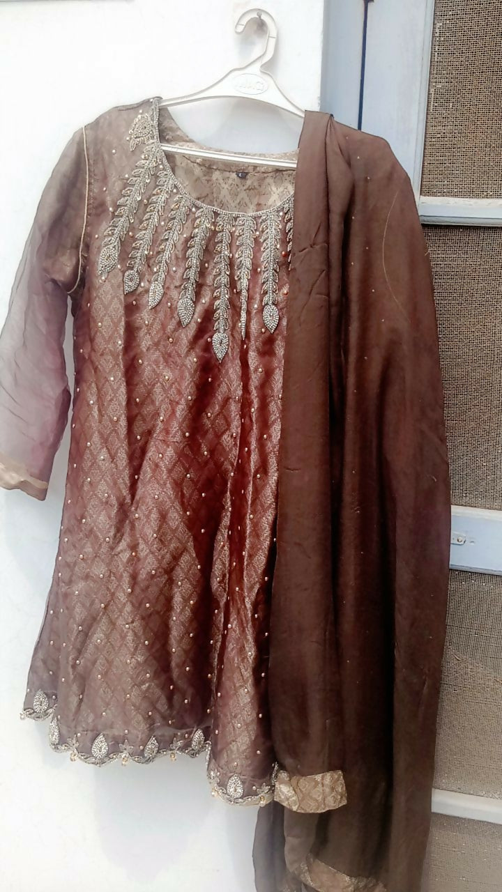 3PC Brown Embroidered Organza Dress | Women Locally Made Formals | Large | Worn Once