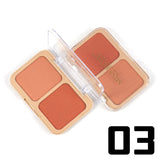 Buy Miss Rose Sunset 2 Color Blush in Pakistan