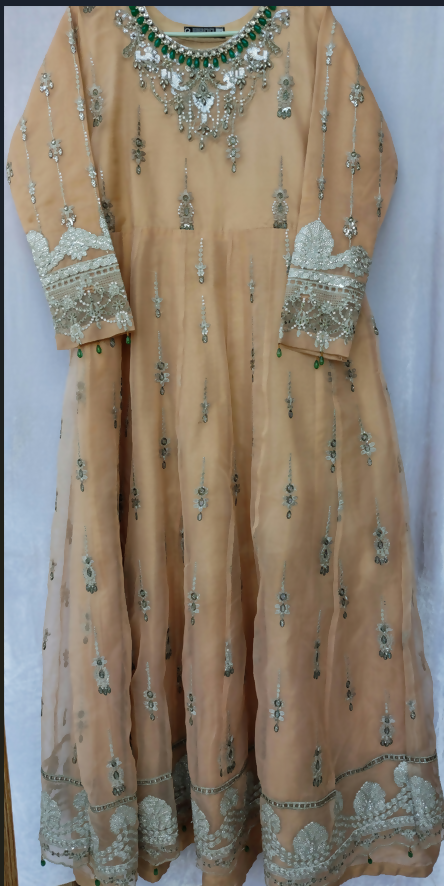 Champange Silver Embroidered Maxi | Women Frocks & Maxis | Medium | Worn Once