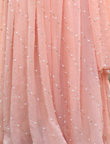 Beautiful Blossom Saree | Women Formals | Peach | Medium | Worn Once