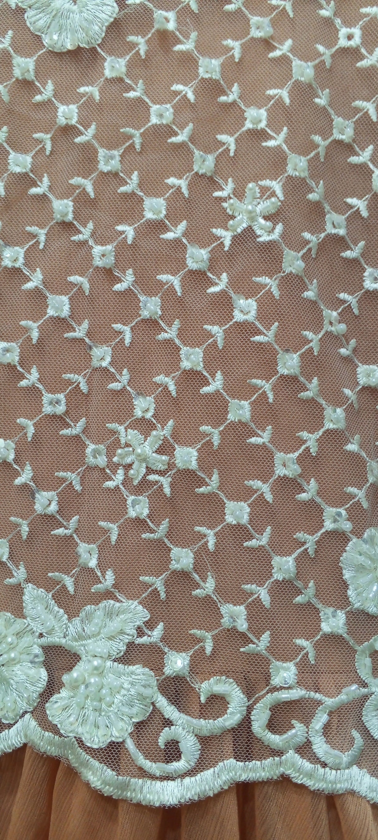 IMG_20241230_204310_905