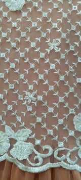 IMG_20241230_204310_905