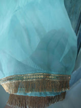 Sea Green Organza Duppata with Gota | Women Accessories | Duppata | Large | New