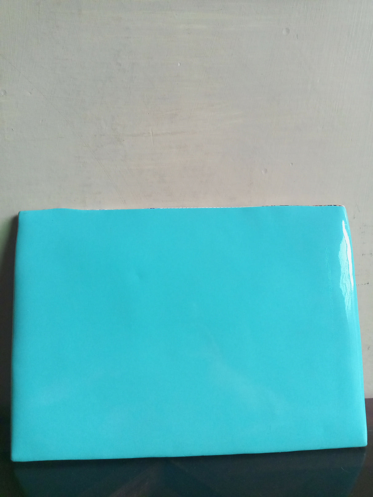 Limelight | Women Bags | Medium| Worn Once