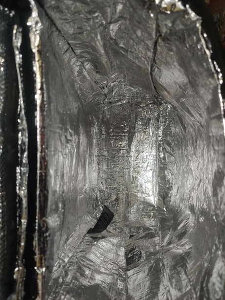 inbound8967546165974708019