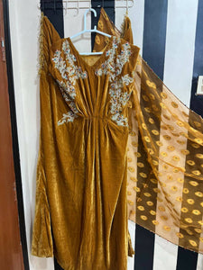 Velvet Dress (Size: L ) | Women Frocks & Maxis | Preloved