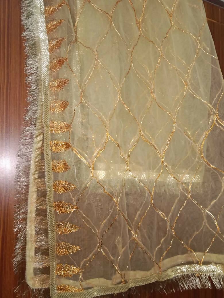 Green Stylish Lehnga Choli | Women Bridals | Medium | Worn Once