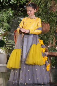 Mother Daught Yellow & Grey Embroidered Bararsi Net Lehenga Choli | Women Formals | Worn Once