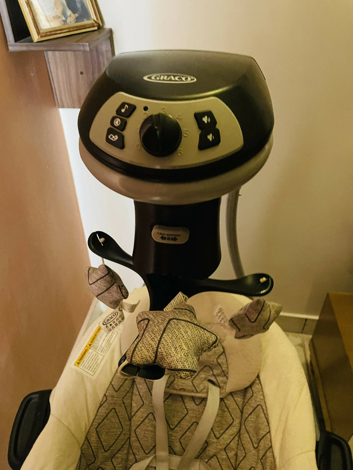 Graco DuetSoothe Swing and Rocker | Baby Accessories | New