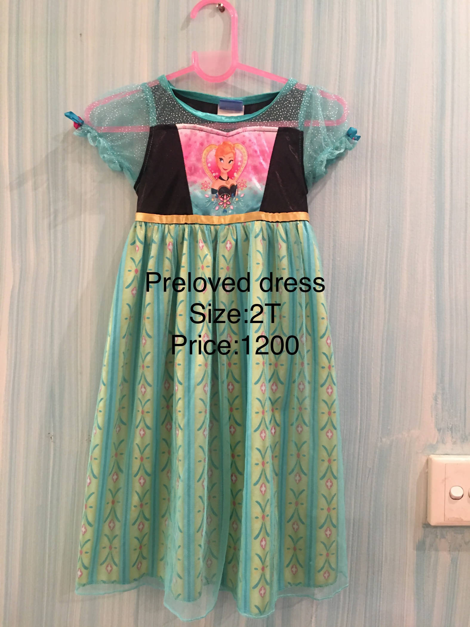 Anna Dress | Girl Dress | Size 2T | Preloved