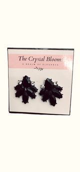 2 pair of Black Earrings (Size: M ) | Women Jewelry | New
