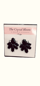 2 pair of Black Earrings (Size: M ) | Women Jewelry Earrings | New