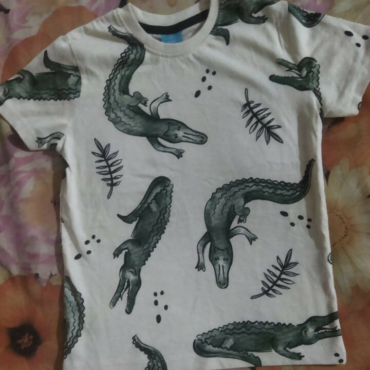 Leftover Dragon T.Shirt (Size: Suitable For 3 To 4 Years Old ) | Kids Tops & Shirts | New