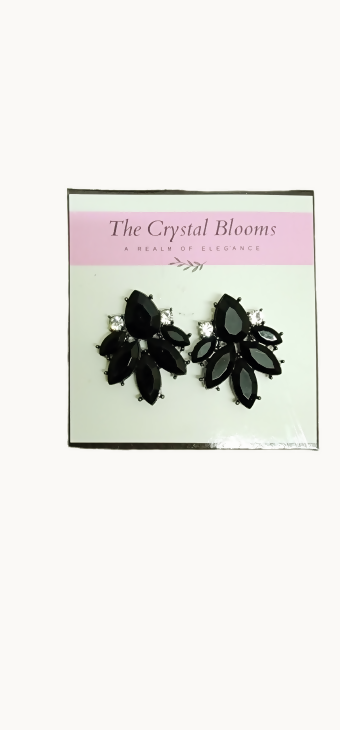 2 pair of Black Earrings (Size: M ) | Women Jewelry Earrings | New