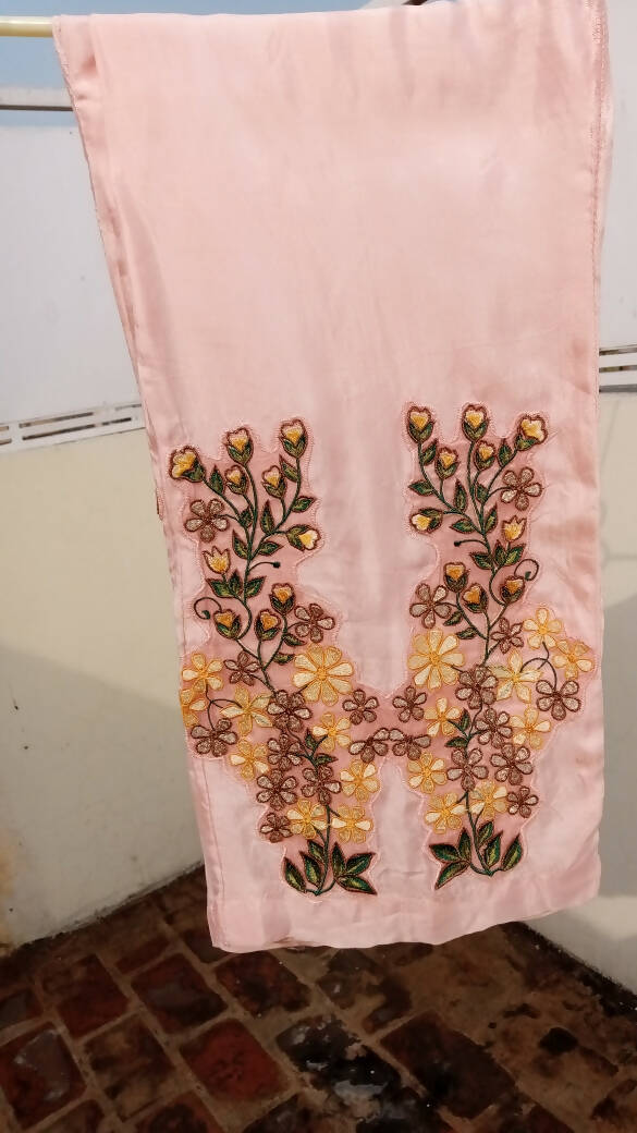 Net + chiffon pastel pink embroidered dress with tail | Women Formals | Preloved