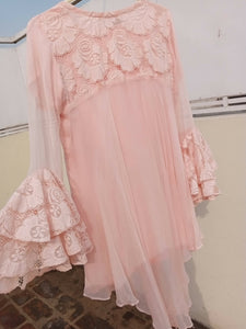 Net + chiffon pastel pink embroidered dress with tail | Women Formals | Preloved