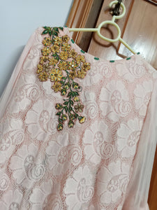 Net + chiffon pastel pink embroidered dress with tail | Women Formals | Preloved