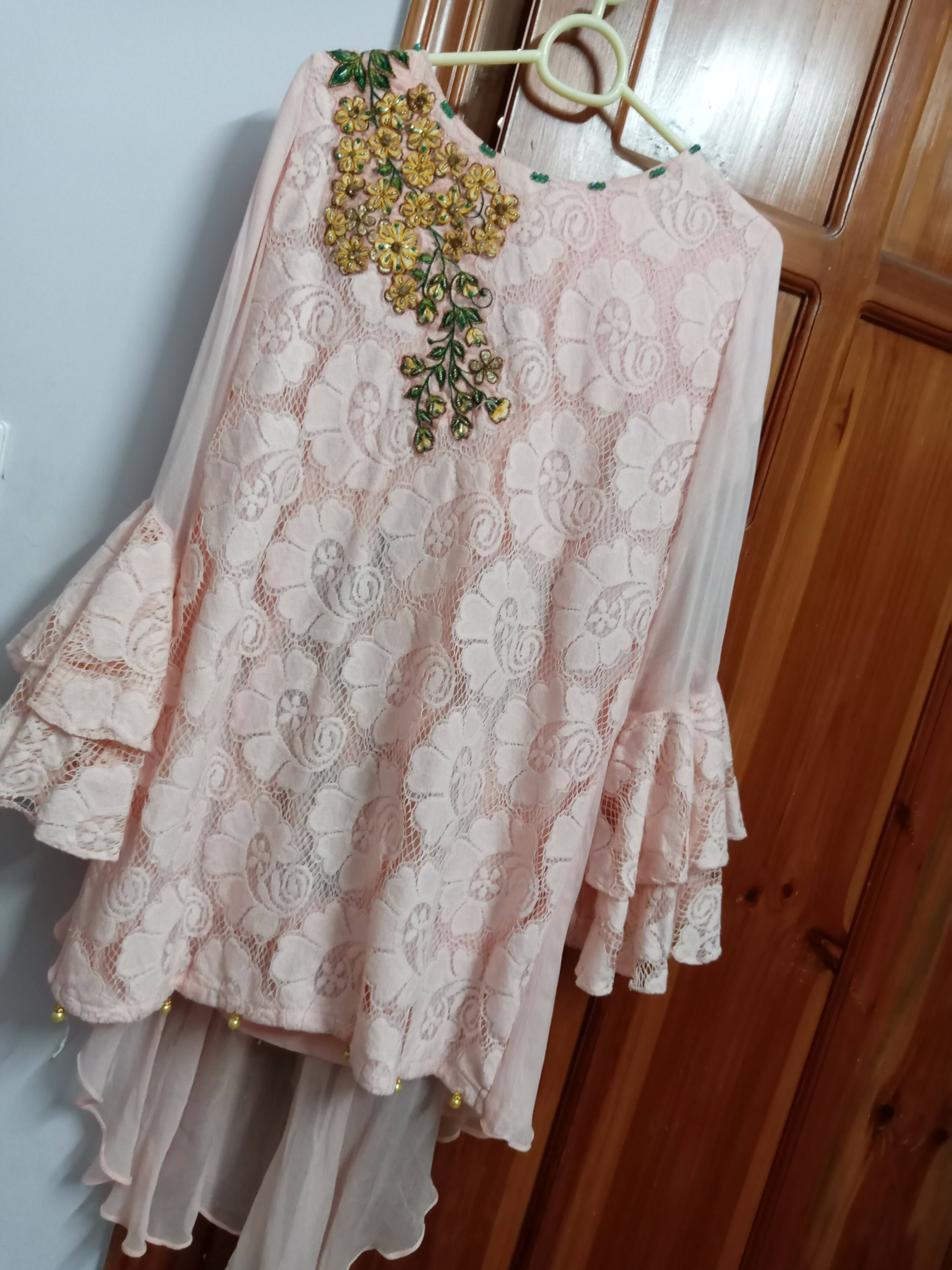 Net + chiffon pastel pink embroidered dress with tail | Women Formals | Preloved