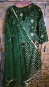 Green Lehnga | Women Locally Made Formals | Small | Worn Once