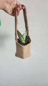 Hexapod with Plant and Jute bag | Corporate Gifts | Customizable | New