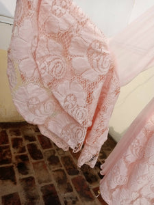 Net + chiffon pastel pink embroidered dress with tail | Women Formals | Preloved