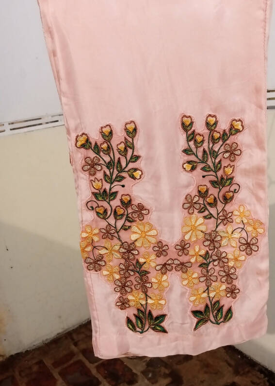 Net + chiffon pastel pink embroidered dress with tail | Women Formals | Preloved