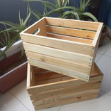 Storage Case Medium | For Your Home | Brand New